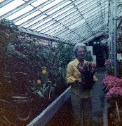 Hoaks Greenhouse